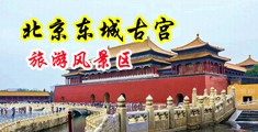 图像高清晰淫荡骚逼女視蘋中国北京-东城古宫旅游风景区